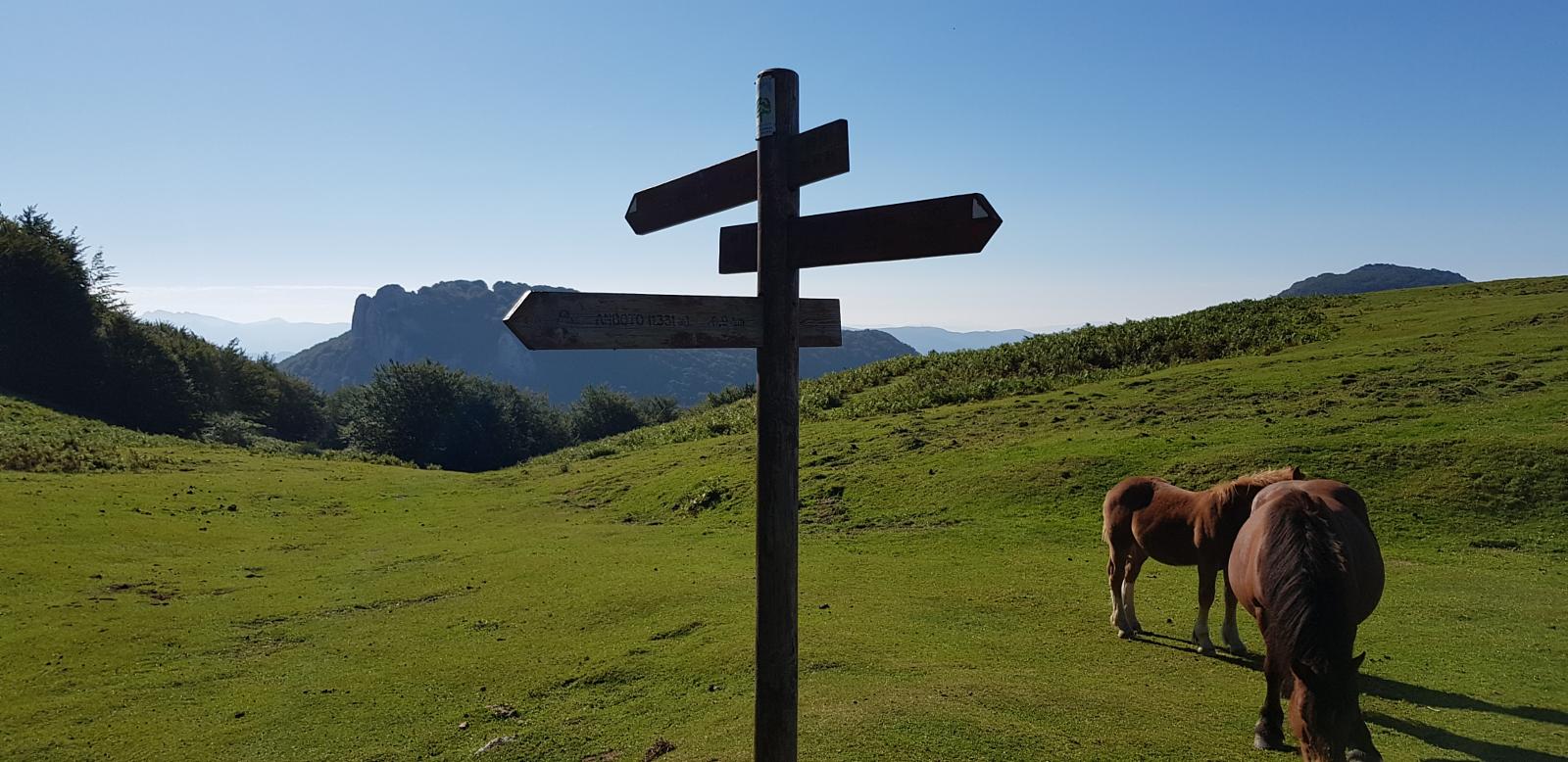 URKIOLA* fell nature